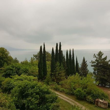 Гостевой Дом Мимоза Gagra Exterior photo